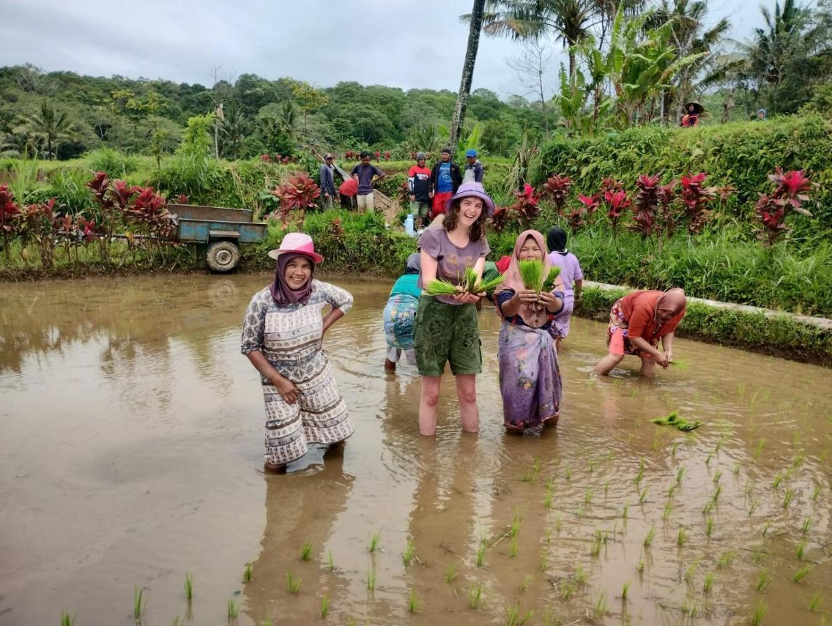 Girang Rinjani Bungalows Tetebatu Εξωτερικό φωτογραφία