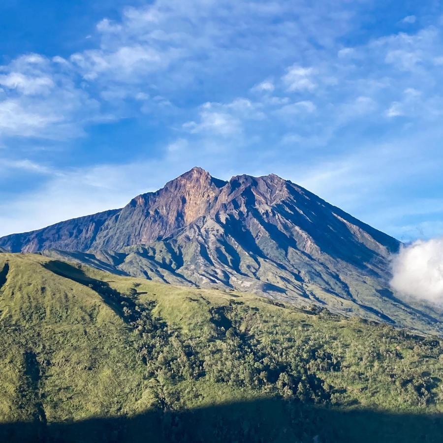 Girang Rinjani Bungalows Tetebatu Εξωτερικό φωτογραφία
