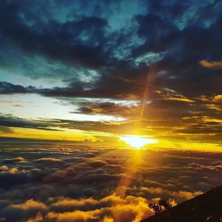 Girang Rinjani Bungalows Tetebatu Εξωτερικό φωτογραφία