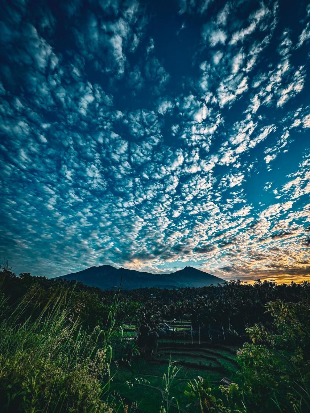 Girang Rinjani Bungalows Tetebatu Εξωτερικό φωτογραφία