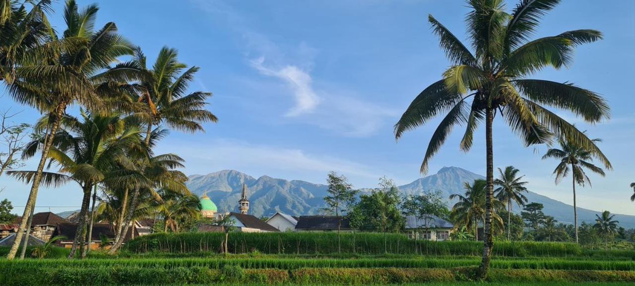 Girang Rinjani Bungalows Tetebatu Εξωτερικό φωτογραφία