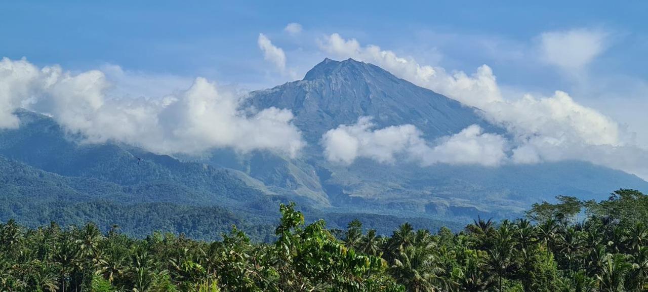 Girang Rinjani Bungalows Tetebatu Εξωτερικό φωτογραφία