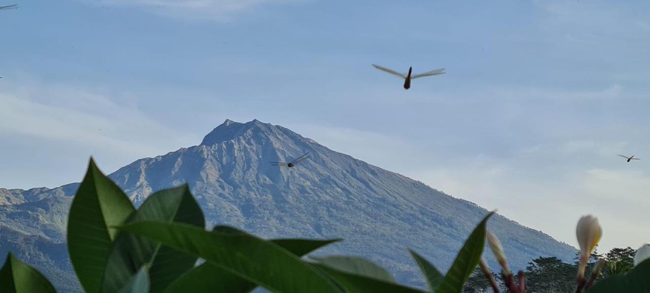 Girang Rinjani Bungalows Tetebatu Εξωτερικό φωτογραφία