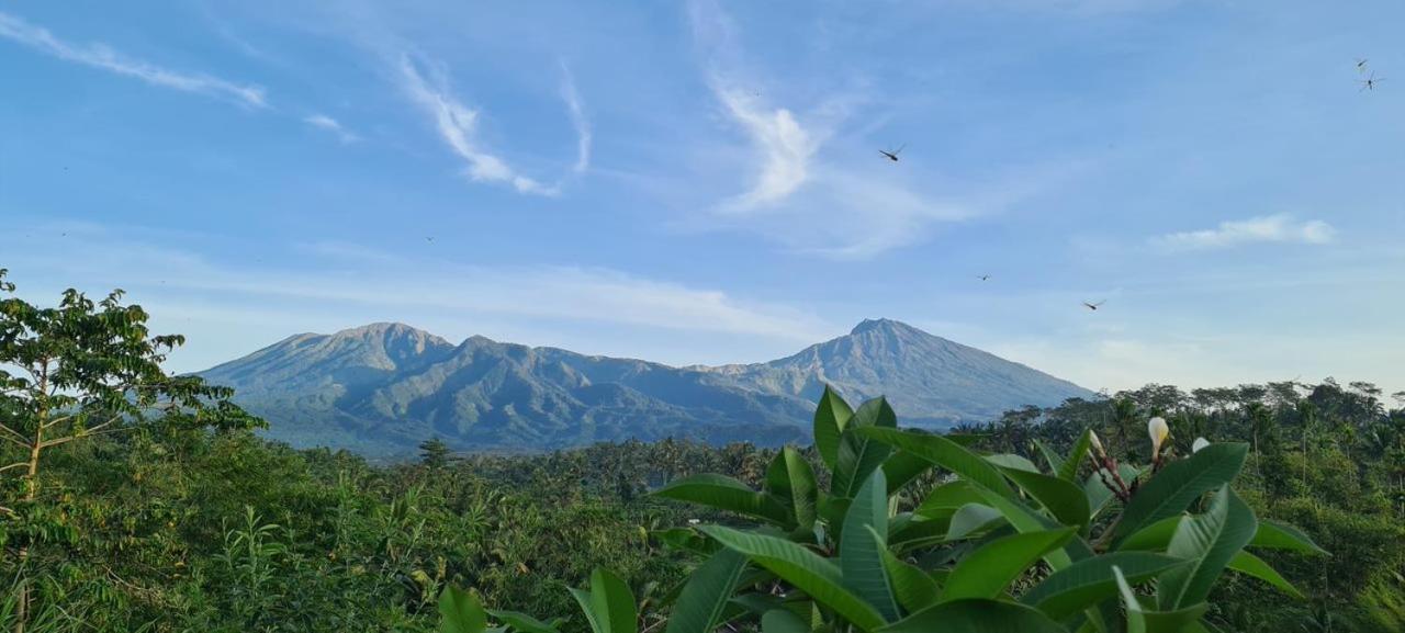 Girang Rinjani Bungalows Tetebatu Εξωτερικό φωτογραφία