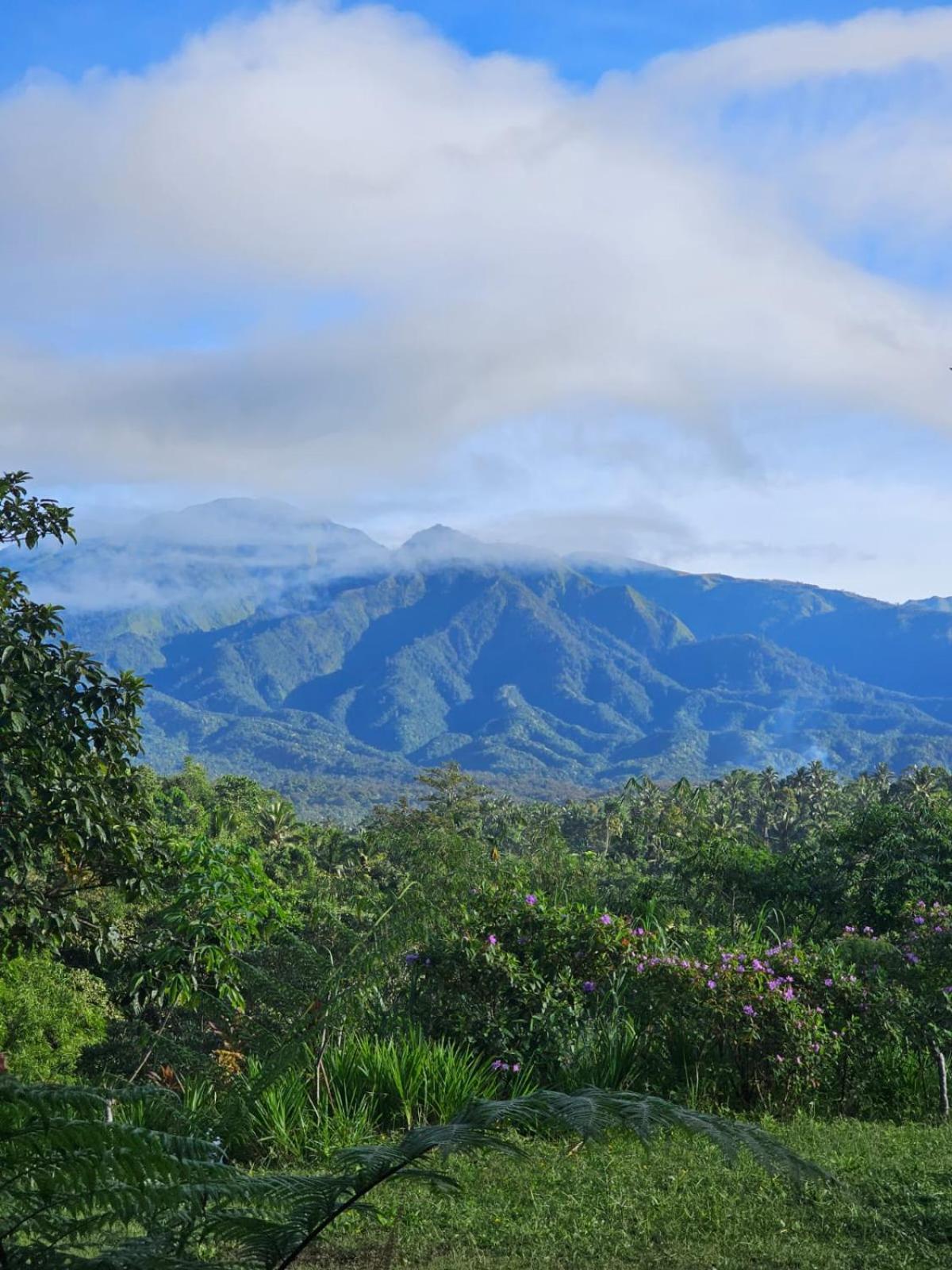 Girang Rinjani Bungalows Tetebatu Εξωτερικό φωτογραφία